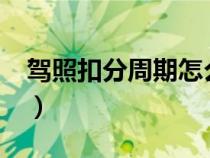 駕照扣分周期怎么算?（駕照扣分周期怎么算）