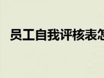員工自我評核表怎么填（員工自我評核表）