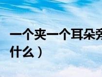 一個(gè)夾一個(gè)耳朵旁讀什么(一個(gè)夾一個(gè)耳朵念什么) 一個(gè)夾一個(gè)耳朵旁讀什么(一個(gè)夾一個(gè)耳朵念什么)