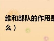 維和部隊(duì)的作用是什么（維和部隊(duì)的使命是什么）