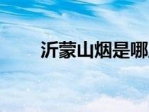 沂蒙山煙是哪里生產(chǎn)的（沂蒙山煙）