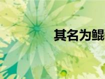 其名為鯤翻譯（其名為鯤）