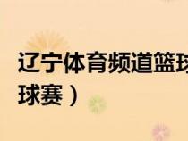 遼寧體育頻道籃球比賽實況（遼寧體育頻道籃球賽）