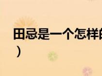 田忌是一個怎樣的人?（田忌是一個怎樣的人）
