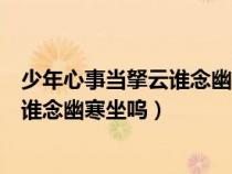 少年心事當拏云誰念幽寒坐嗚咽什么意思（少年心事當拏云誰念幽寒坐嗚）