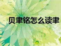 貝聿銘怎么讀聿 廣州話（貝聿銘怎么讀）