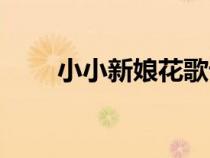 小小新娘花歌詞(小小新娘花原唱) 小小新娘花歌詞(小小新娘花原唱)