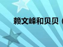 賴文峰和貝貝（賴文峰現(xiàn)任妻子貝貝）