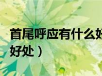 首尾呼應有什么好處和作用（首尾呼應有什么好處）