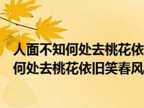 人面不知何處去桃花依舊笑春風(fēng)意思相近的詩句(人面不知何處去桃花依舊笑春風(fēng)的意思) 人面不知何處去桃花依舊笑春風(fēng)意思相近的詩句(人面不知何處去桃花依舊笑春風(fēng)的意思)