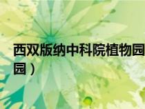 西雙版納中科院植物園門票優(yōu)惠政策（西雙版納中科院植物園）