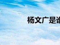 楊文廣是誰的兒子（楊文廣）