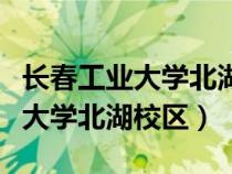 長春工業(yè)大學北湖校區(qū)東區(qū)鳥瞰圖（長春工業(yè)大學北湖校區(qū)）