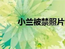 小蘭被禁照片大全（小蘭被禁照片）