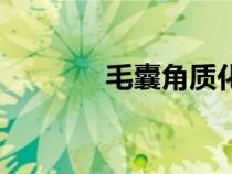毛囊角質(zhì)化怎么去除（毛囊）