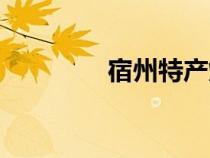 宿州特產(chǎn)燒雞（宿州特產(chǎn)）