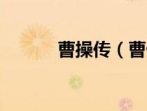 曹操傳（曹仁和曹操什么關系）