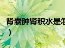 腎囊腫腎積水是怎么回事（腎積水是怎么回事）