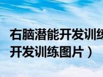 右腦潛能開發(fā)訓(xùn)練對(duì)孩子有好處嗎(右腦潛能開發(fā)訓(xùn)練圖片) 右腦潛能開發(fā)訓(xùn)練對(duì)孩子有好處嗎(右腦潛能開發(fā)訓(xùn)練圖片)
