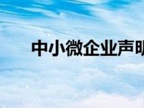 中小微企業(yè)聲明函模板（聲明函模板）