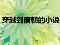穿越到唐朝的小說(shuō)推薦(穿越到唐朝的小說(shuō)) 穿越到唐朝的小說(shuō)推薦(穿越到唐朝的小說(shuō))