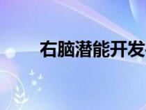 右腦潛能開發(fā)手冊（右腦潛能開發(fā)）