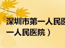 深圳市第一人民醫(yī)院網(wǎng)上預(yù)約掛號（深圳市第一人民醫(yī)院）