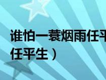 誰怕一蓑煙雨任平生是哪首詩（誰怕一蓑煙雨任平生）