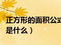 正方形的面積公式是什么（長方形的面積公式是什么）