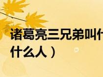 諸葛亮三兄弟叫什么名字（諸葛均是諸葛亮的什么人）