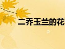二喬玉蘭的花語(yǔ)和寓意（二喬玉蘭）