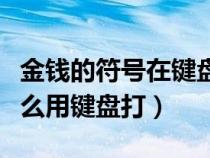 金錢的符號在鍵盤上怎么打出來（金錢符號怎么用鍵盤打）