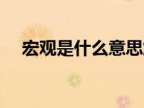 宏觀是什么意思解釋（宏觀是什么意思）
