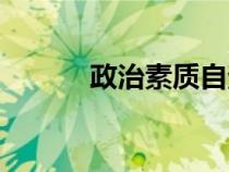 政治素質(zhì)自查報(bào)告(政治素質(zhì)) 政治素質(zhì)自查報(bào)告(政治素質(zhì))