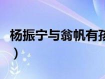 楊振寧與翁帆有孩子沒（楊振寧翁帆孩子多大）