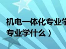 機(jī)電一體化專業(yè)學(xué)什么就業(yè)方向(機(jī)電一體化專業(yè)學(xué)什么) 機(jī)電一體化專業(yè)學(xué)什么就業(yè)方向(機(jī)電一體化專業(yè)學(xué)什么)