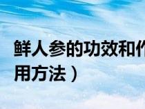 鮮人參的功效和作用及食用方法（鮮人參的食用方法）