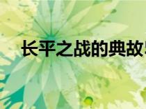 長平之戰(zhàn)的典故50字（長平之戰(zhàn)的典故）