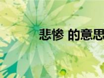 悲慘 的意思（慘痛悲哀的意思）