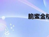 脆蜜金桔市場價格（脆）