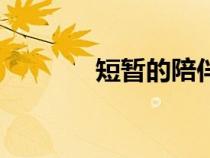 短暫的陪伴英語（陪伴英語）