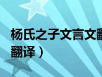 楊氏之子文言文翻譯500字（楊氏之子文言文翻譯）