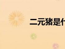 二元豬是什么品種（二元豬）