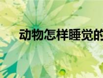 動(dòng)物怎樣睡覺的?（動(dòng)物是怎么睡覺的）