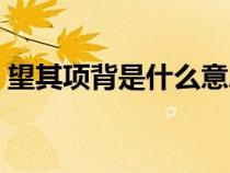 望其項(xiàng)背是什么意思（望塵莫及是什么意思）