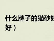 什么牌子的貓砂好用又實(shí)惠（什么牌子的貓砂好）