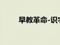 早教革命-識字不用教（早教革命）