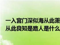 一入宮門深似海從此蕭郎是路人什么意思（一入宮門深似海從此良知是路人是什么意思）