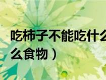 吃柿子不能吃什么食物圖表（吃柿子不能吃什么食物）