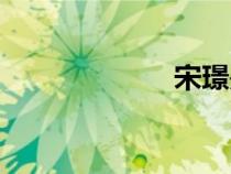 宋璟是誰（宋璟）